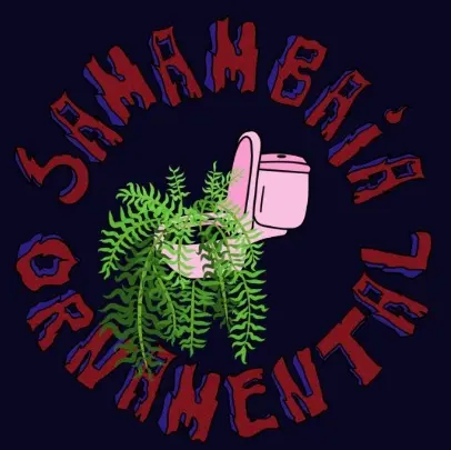 Samambaia Ornamental